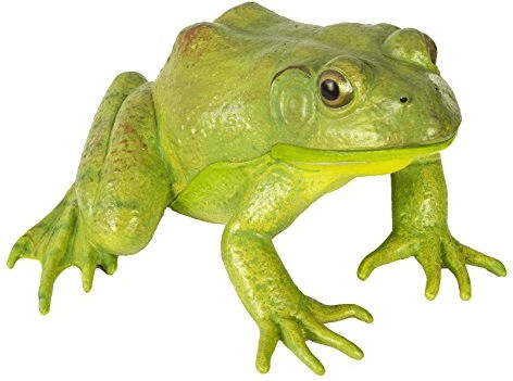 Safari Grenouille taureau extra-large
