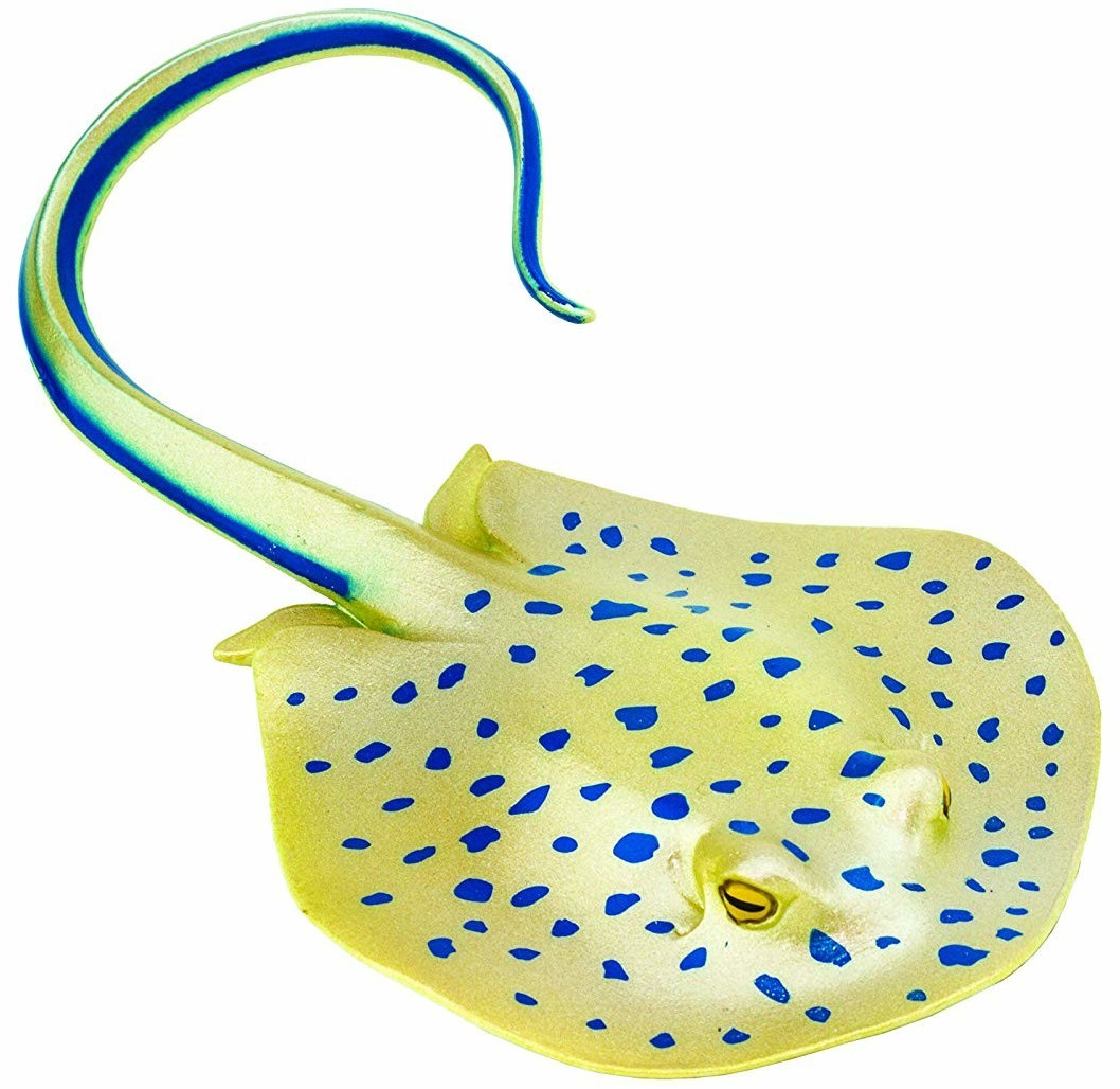 Safari Raie tâchetée bleue (267329)