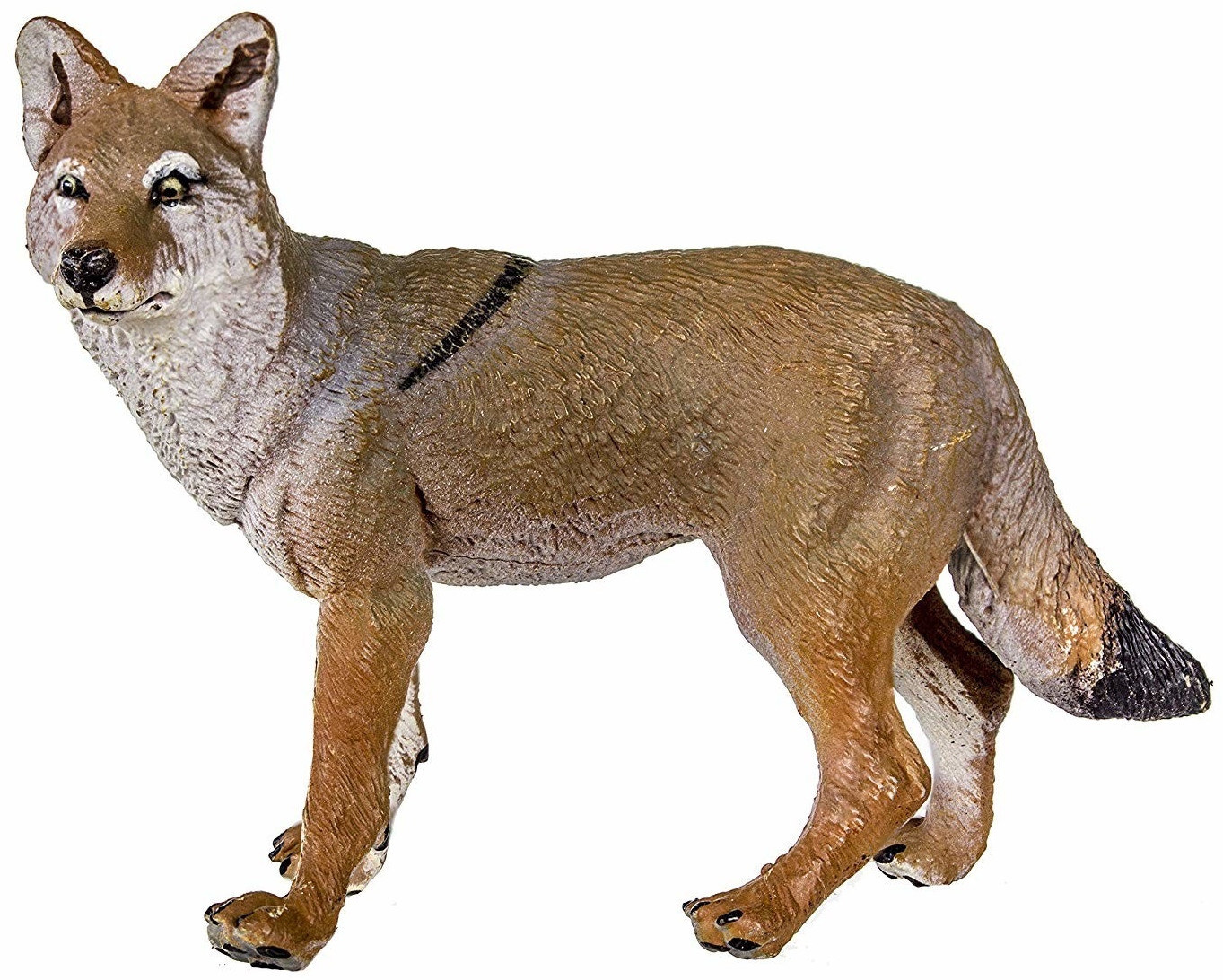 Safari 227229