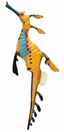 Safari 252629