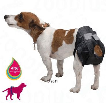 Savic Lange pour chien Comfort Nappy taille 4