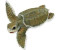 Safari Kemp's Ridley Sea Turtle Baby (267429)