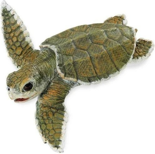 Safari Kemp's Ridley Sea Turtle Baby (267429)