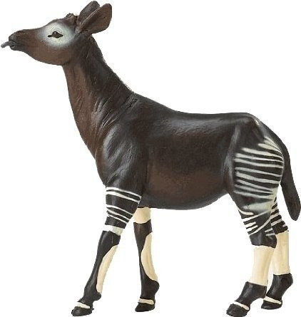 Safari Okapi (292529)