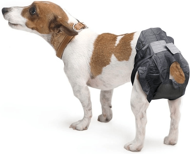 Savic Lange pour chien Comfort Nappy taille 3