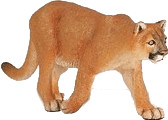 Safari 291829