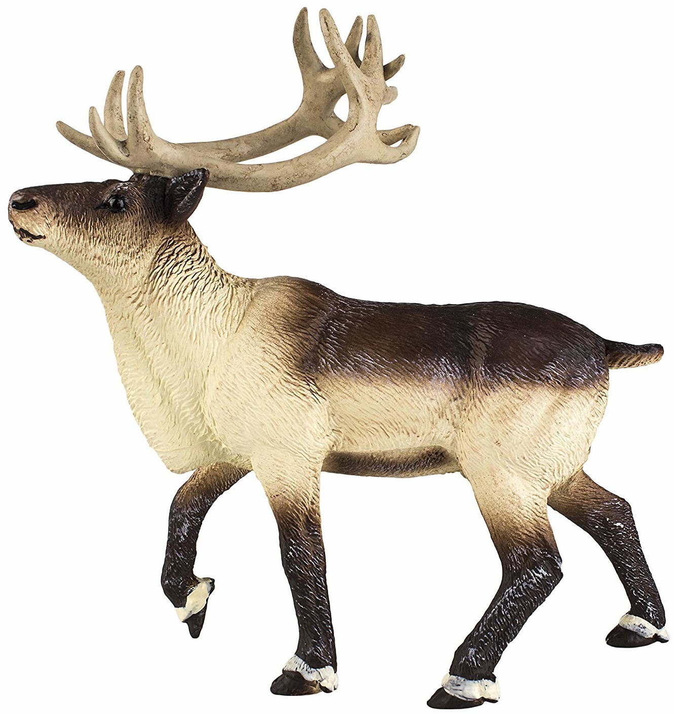 Safari 277929