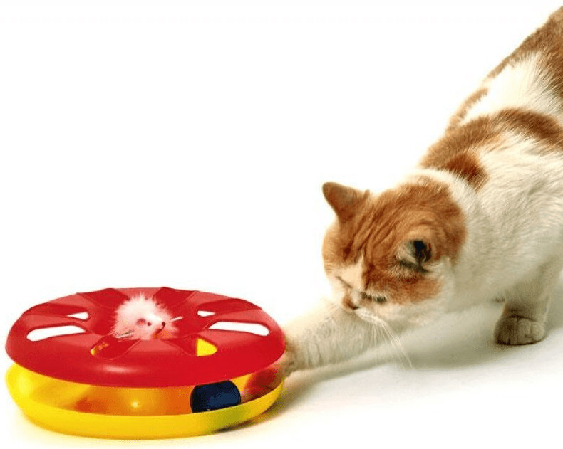 Karlie Circuit pour chat Karlie Circuit pour chat