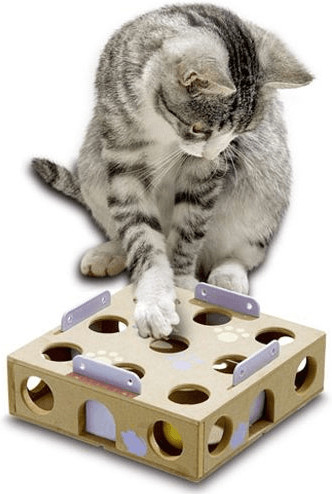 Karlie Jeu d'intelligence pour chat