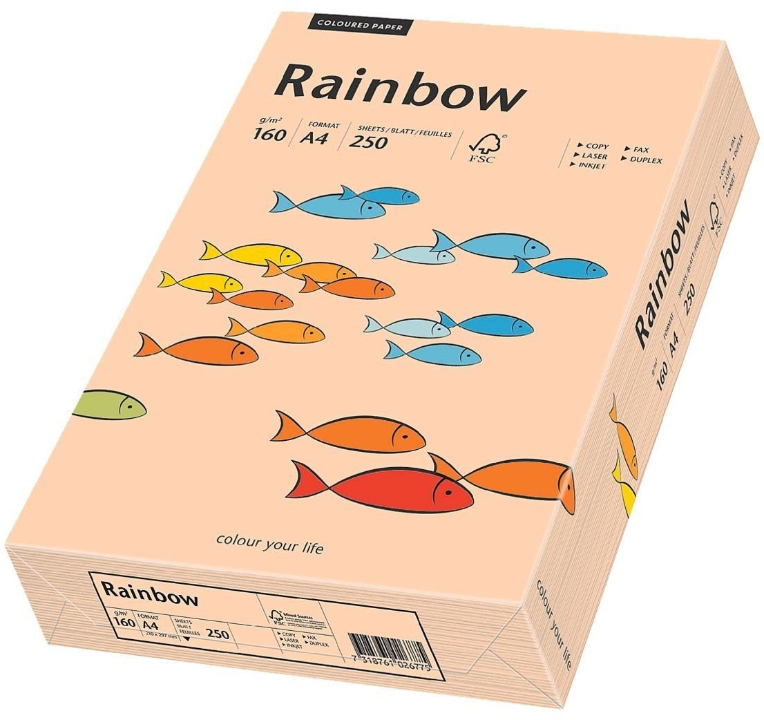 Papyrus Rainbow (88042505)