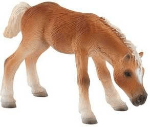Bullyland Poulain Haflinger (62697)