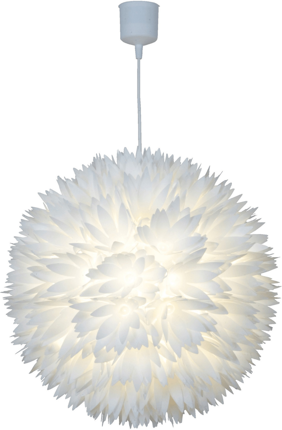 Näve Lotus (7024923)