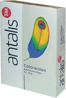 Antalis 838A 080S 30