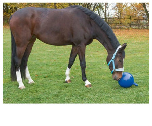 KERBL Spielball für Pferde 