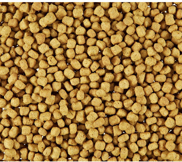 Royal Canin Croquettes pour chat 1.5kg Royal Canin Croquettes pour chat 1.5kg