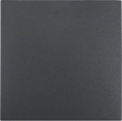 Berker 16201606