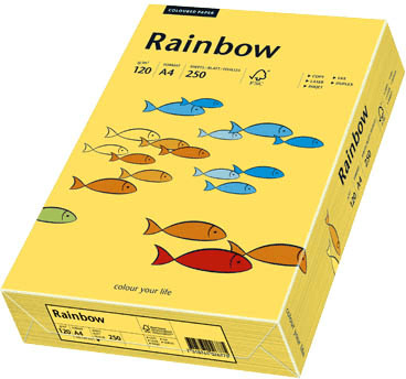 Papyrus Rainbow - Papier multifonction, A4, 120g/qm, jaune intense, 88042392 (Import Allemagne)