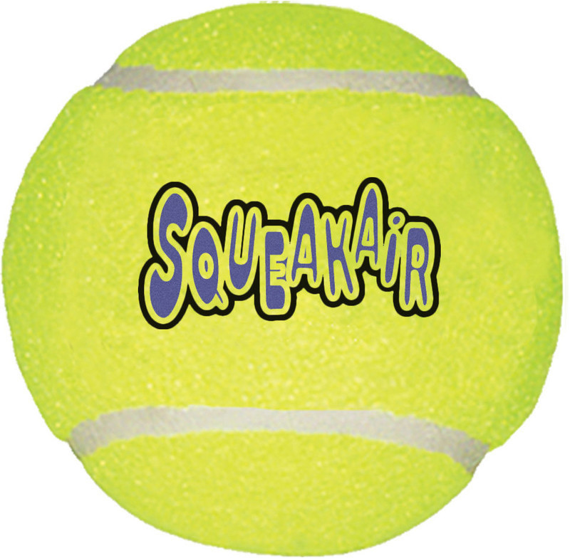 Kong AirDog SqueakAir XS