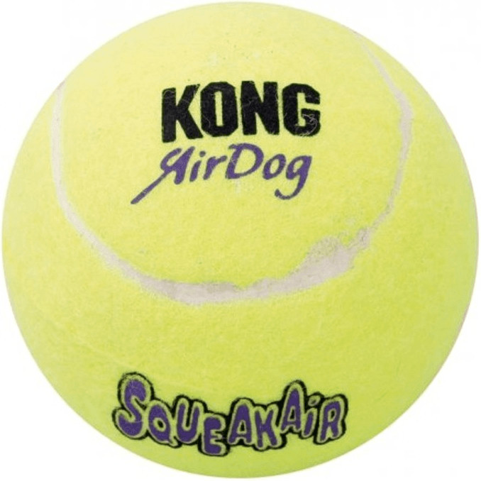 Kong AirDog SqueakAir M