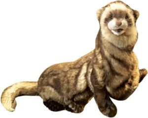 Folkmanis Marionnette Furet