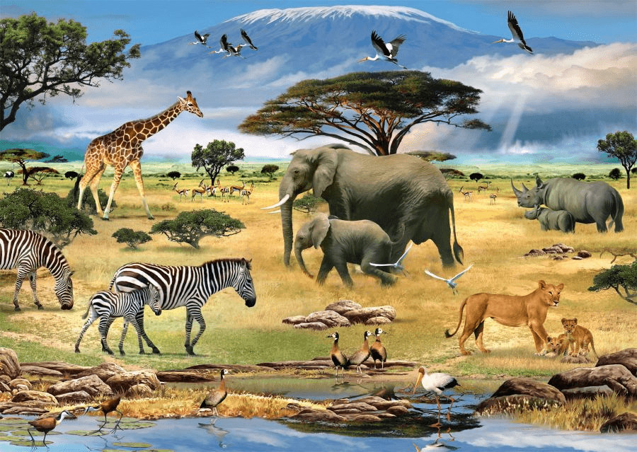 Ravensburger Augmented Reality: Animals of Africa (1000 Pieces)