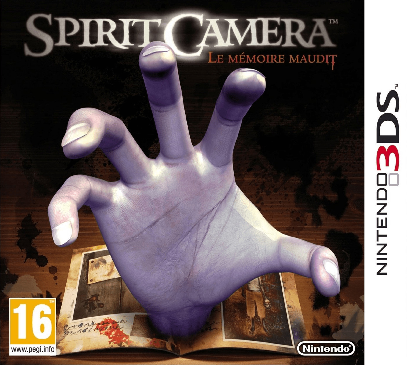 Spirit Camera: Le mémoire maudit (3DS)