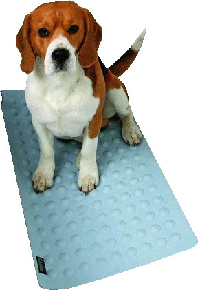 Karlie Tapis de bain Perfect Care - Karlie (40 x 70 cm)