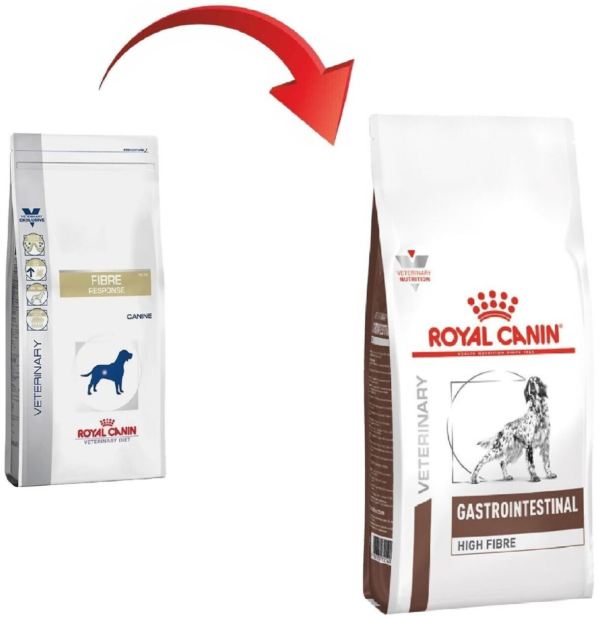 Royal canin gastro intestinal dog food 14kg on sale