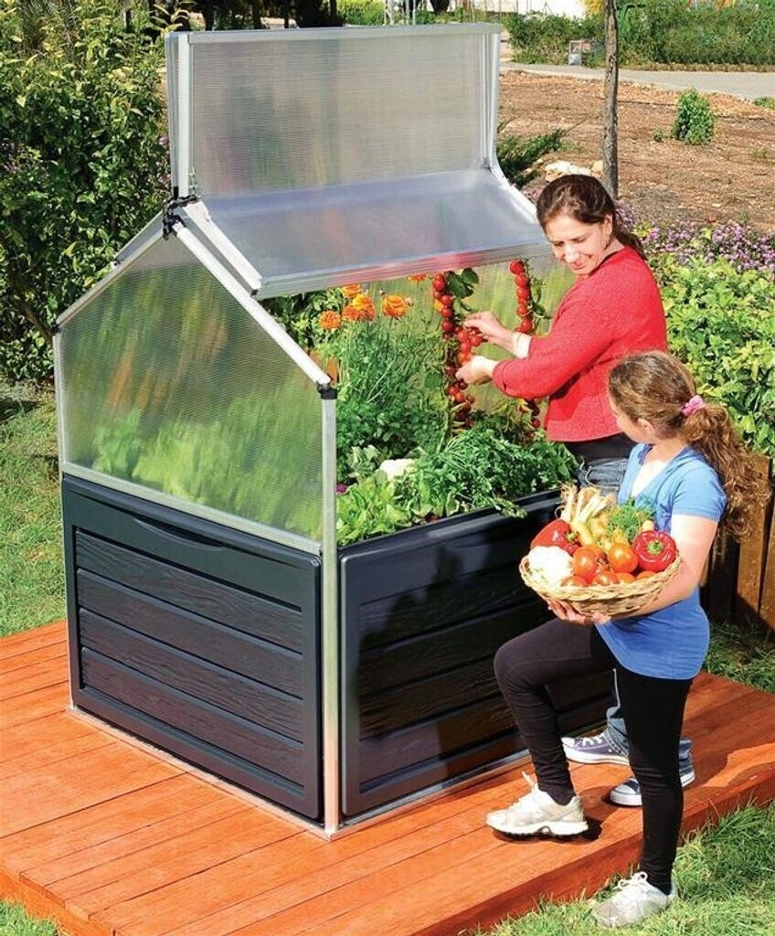 Tepro Raised Plant-In