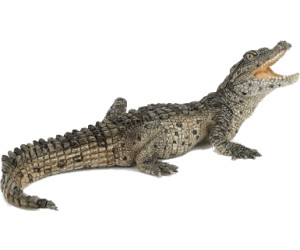Papo Bebe Crocodile Au Meilleur Prix Sur Idealo Fr