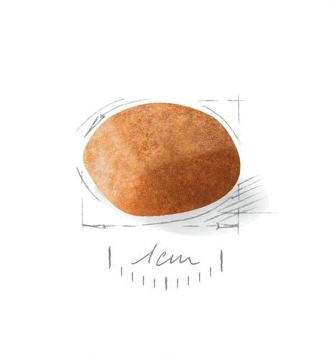 Royal Canin Croquettes pour chien 12kg Royal Canin Croquettes pour chien 12kg