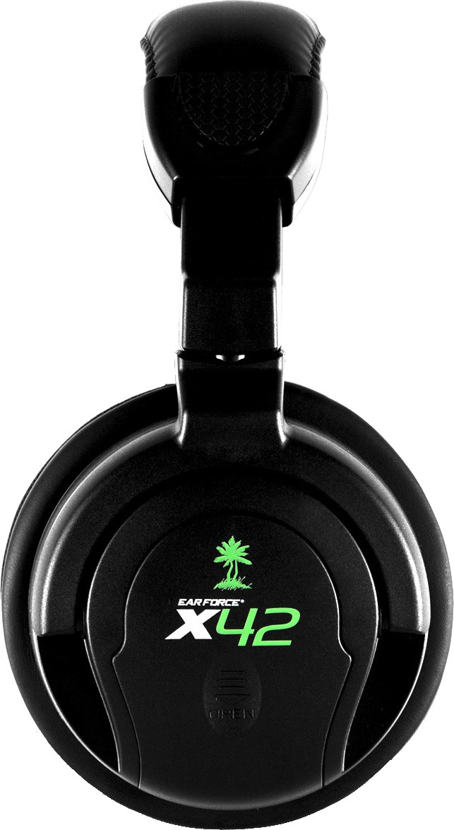 X42 turtle store beach