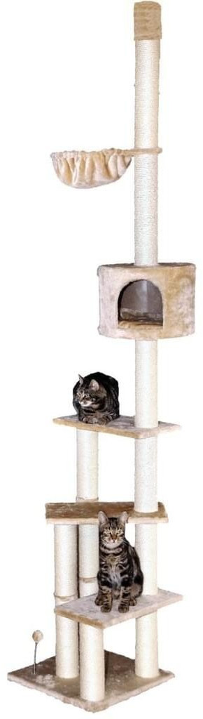 Rohrschneider Kitty