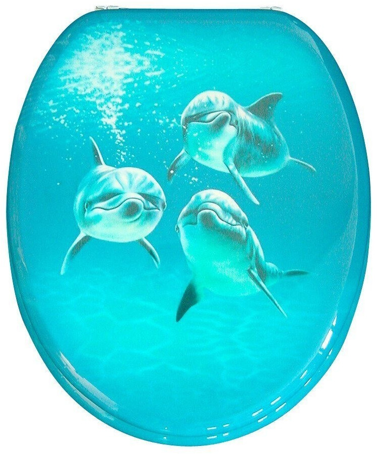 ADOB Dolphin 3