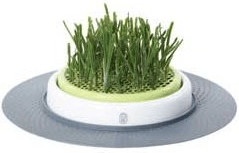 Catit Design Senses Jardin d'herbe à chat