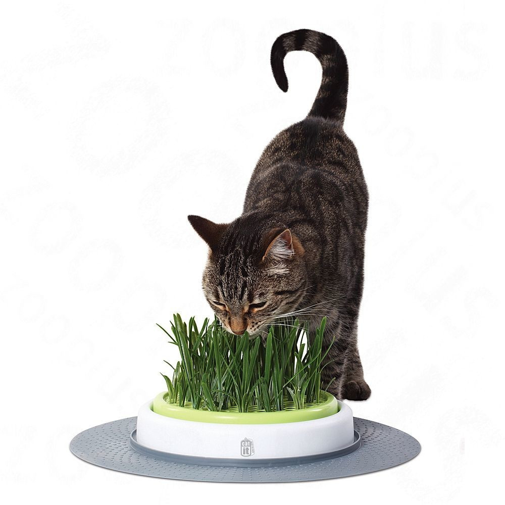 Catit Design Senses recharge herbe à chat au meilleur prix sur