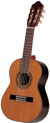 Esteve Octava 3G740