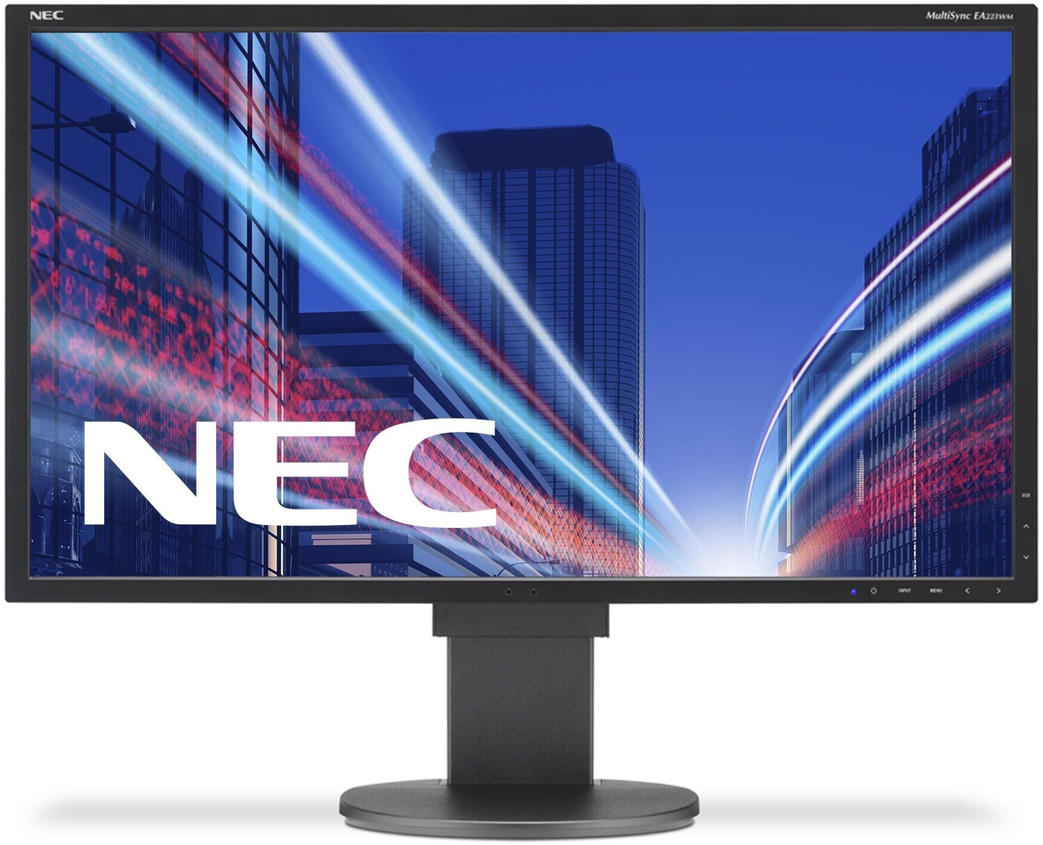 NEC Display Solutions EA223WM