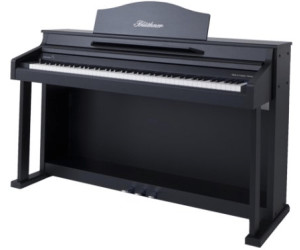 Bluthner E Klavier 1 Ab 3 399 00 Preisvergleich Bei Idealo De