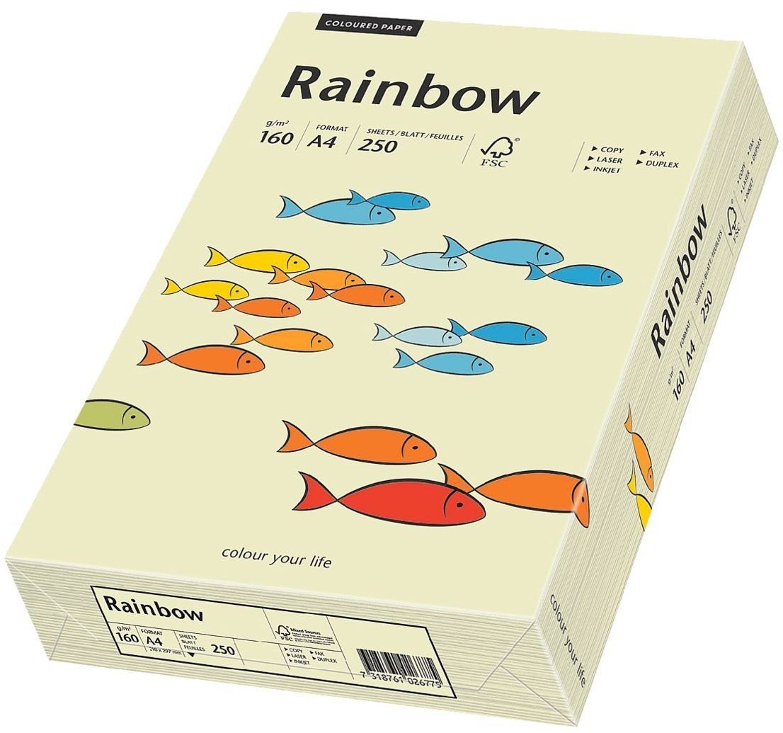 Papyrus Papier multifonctions Rainbow, A4, 160g, vert clair (88042593)