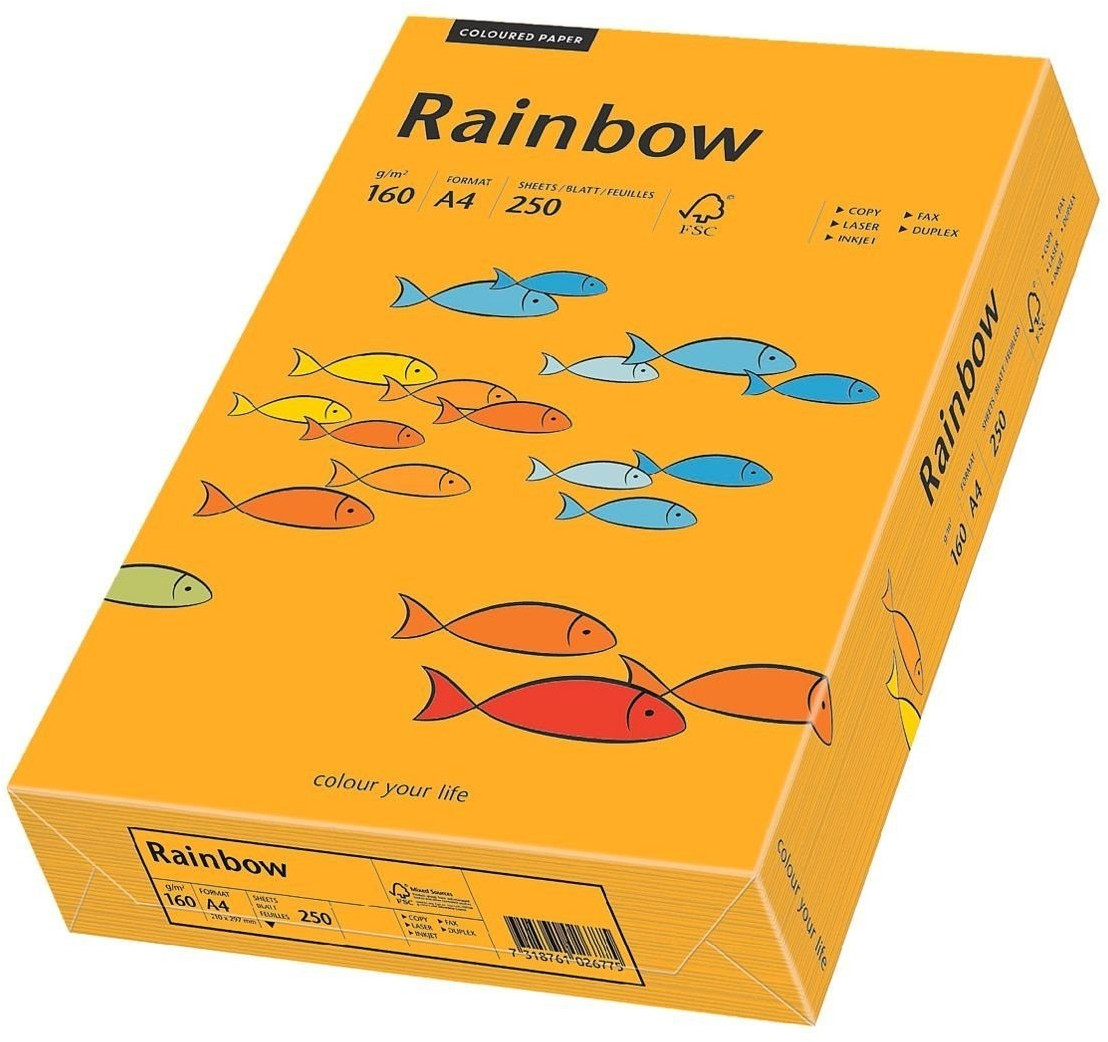 Papyrus Papier multifonctions Rainbow, A4, 160g, orange moyen (88042417)