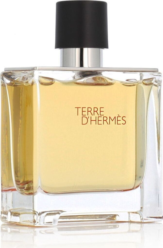 Hermès Terre Dhermès Eau De Parfum Ab 4950 Preisvergleich Bei