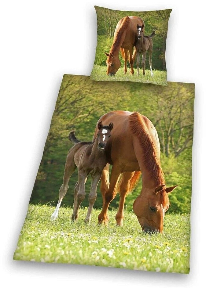Herding Cheval et poney 80 x 80 cm + 135 x 200 cm