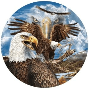 SunsOut 13 Eagles: 1,000 Pieces Steven M. Gardner
