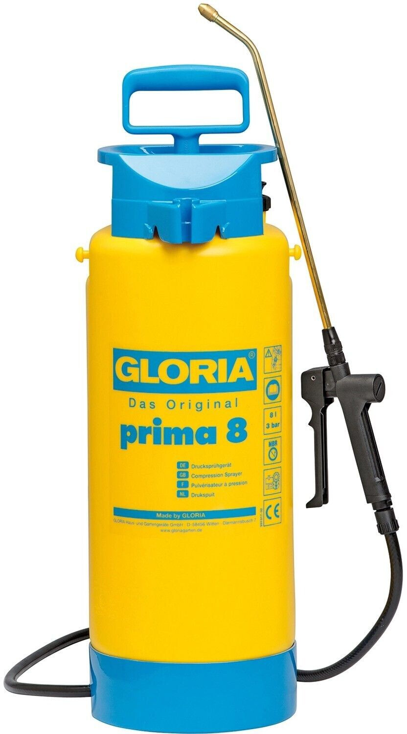 Gloria prima 8