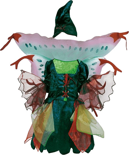 Funny Fashion Costume elfe des bois
