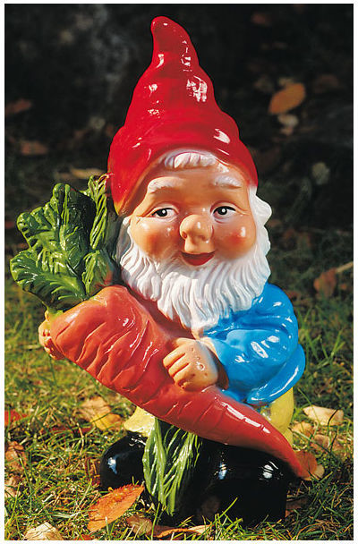 Omü Nain de jardin avec carotte