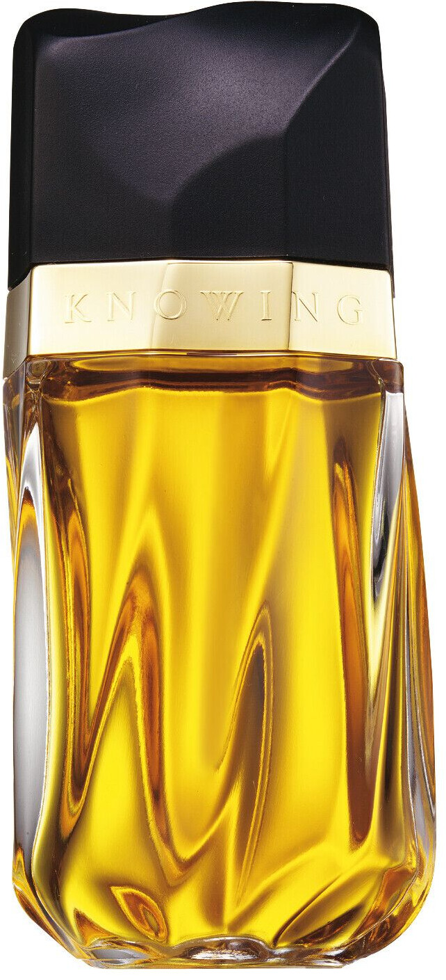 Parfum estee lauder discount knowing