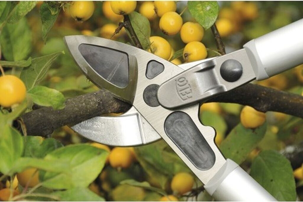 Felco Felco Elagueur 231 - view 12