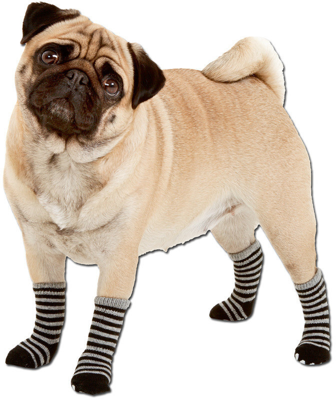 Karlie Chaussettes pour chien L Karlie Chaussettes pour chien L